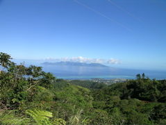 vue